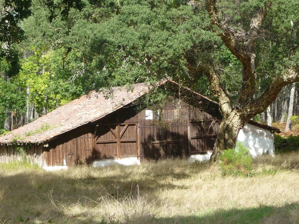 Appartements A Cote Lac Marin De Port D'Albret วิเยอซ์-บูโก-เลส์-แบ็งส์ ภายนอก รูปภาพ